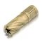 Корончатые сверла Gold-line Karnasch, длина 55 мм, Weldon 19, арт. 20.1270U